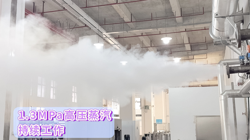 蒸汽干湿度800-450